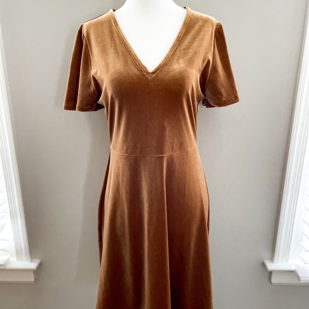 SOLD Madewell Velvet V-neck Flutter Sleeve Dress - Picture 5 of 13